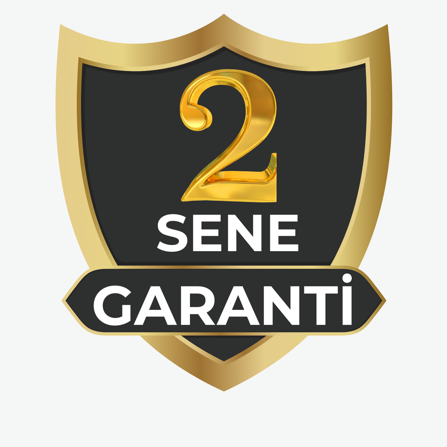 1'e 1 Mentörlük